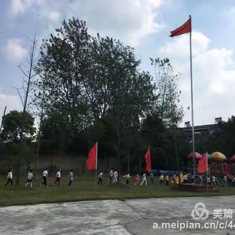 每天的午餐后散步！