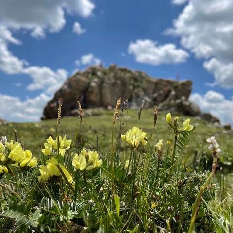 致残疾人朋友的一封公开信