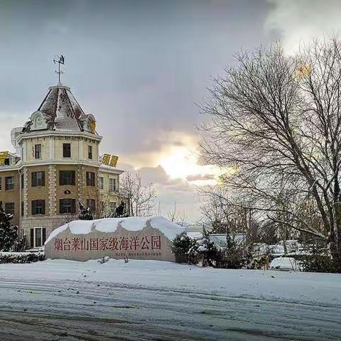 烟台渔人码头迎来今年的首场雪