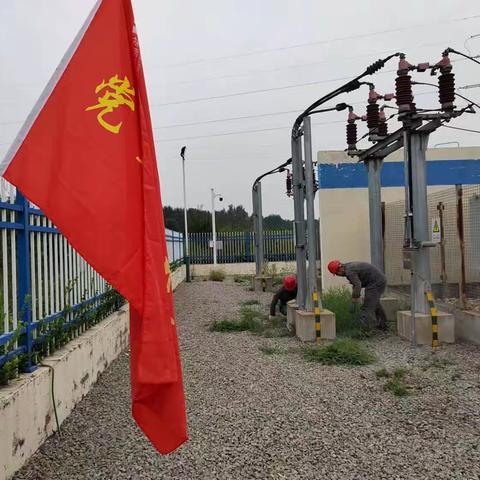 新能源管理部党支部组织党员清理升压站内杂草