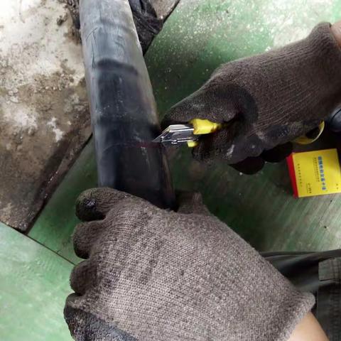 三创我们在行动