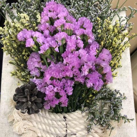 都市花园支行沙龙