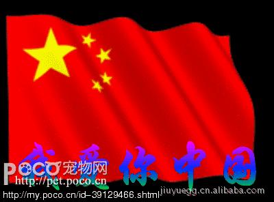 同升国旗     同唱国歌