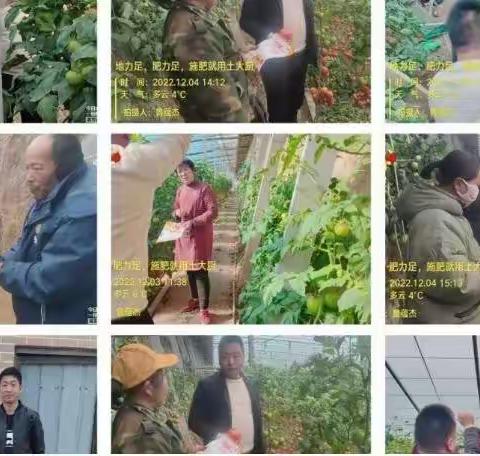 生根剂冬天使用有效吗？