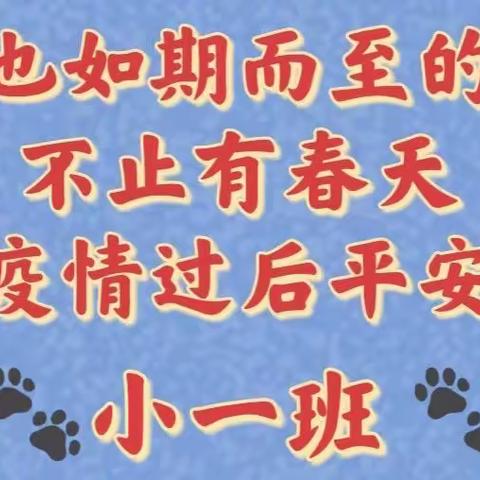 【居家】小一班美好生活继续……