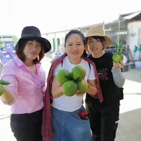 特想的美篇
