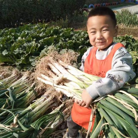 快乐五一，安全第一——朱各庄小学幼儿园五一假期安全温馨提示