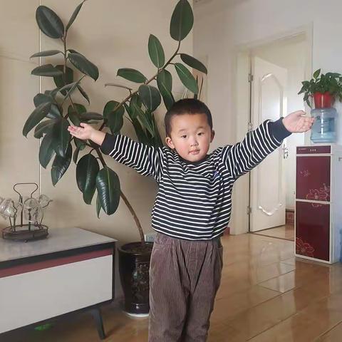 皮皮上幼儿园了