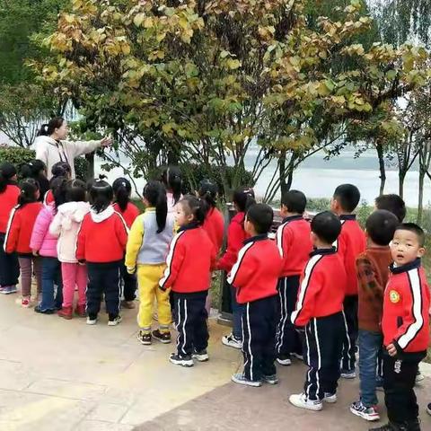 金蕾幼儿园《寻找秋天》主题活动——树叶变变变