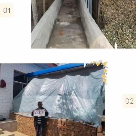 花所镇创建全国文明城市工作日报【6月12日】