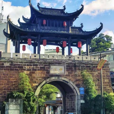 深圳分行老干部的退休生活——福田老干甘坑小镇欢乐行