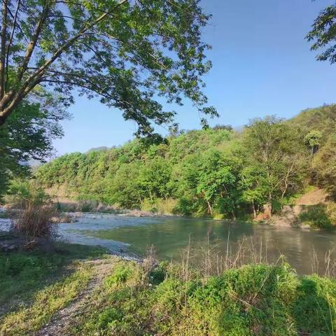 参观峡谷踏青樱桃采摘一日游