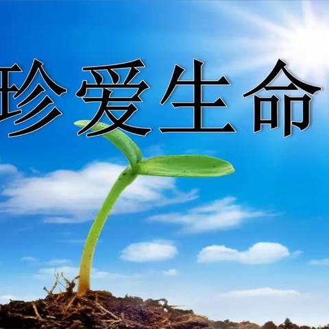 《学会珍惜生命 珍惜时光》