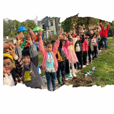 魅力金秋，乐享丰收之红薯篇——砖墙幼儿园相北分园