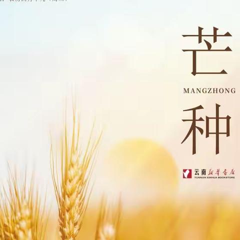 种之芒种 收获满仓