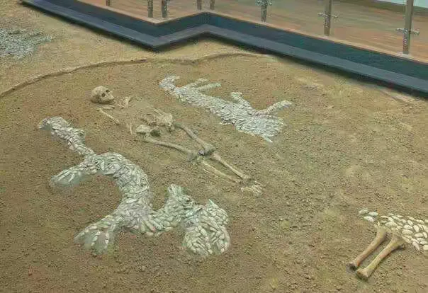 走进河南3:濮阳 中华第一龙