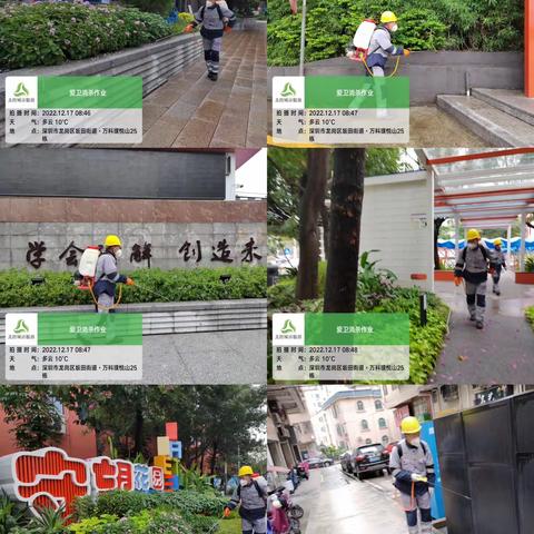 【北控城服项目】北控坂田街道城市管家服务项目四害消杀2022.12.17工作日报