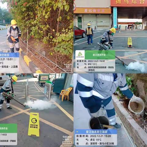 【北控城市管家坂田项目】四害消杀2022.12.21工作日报