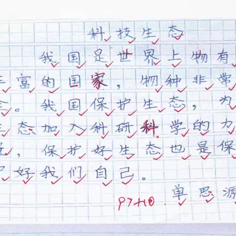 东长甸小学四年四班《生态一家》书法课批阅