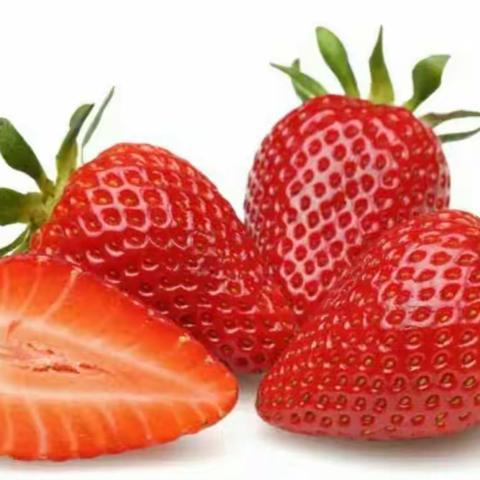 五一假期去哪里？小吕寨镇后大吕的草莓🍓熟了！！！