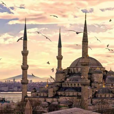 选择土耳其护照的原因之一 --- E2签证