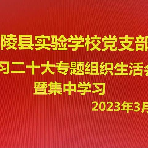 学习二十大专题组织生活会暨集中学习——鄢陵县实验学校党支部