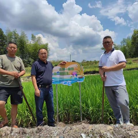 住建局积极开展“我在乡间有亩田”志愿活动