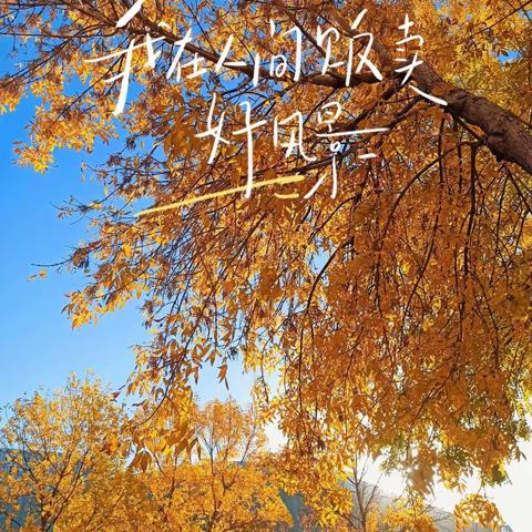 秋天的小浪漫