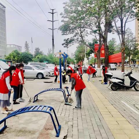 市妇联开展志愿清洁活动