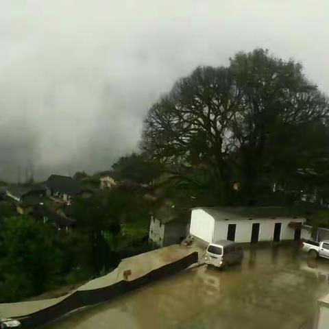 不到此境，不知此美！