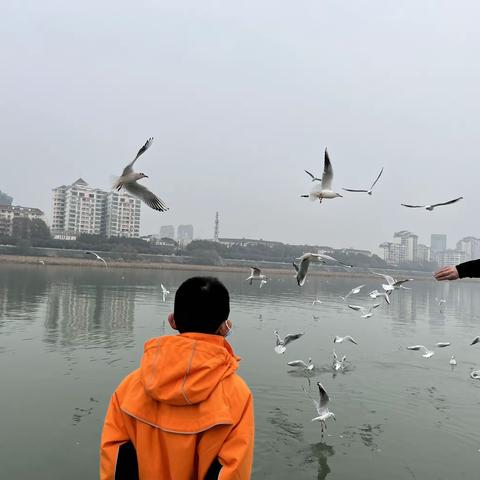 热闹的铁牛广场