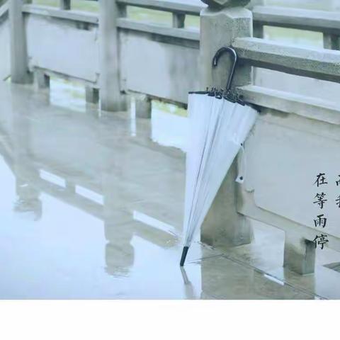 一个人的雨☔️