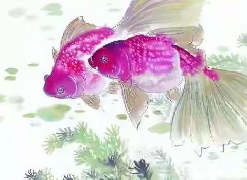 鱼🐠那么信任水，水却煮了鱼🐠
