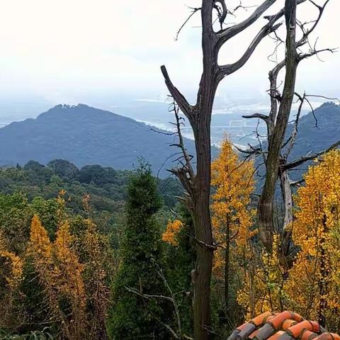 221113游丹景山见闻