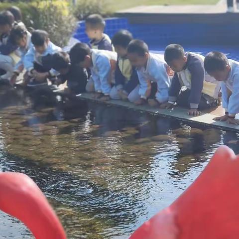 ［班级动态］双江县花蕊幼儿园大一班“亲近自然·携手阳光”春游踏青活动