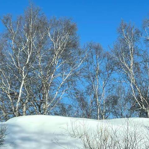 跨年冰雪之旅