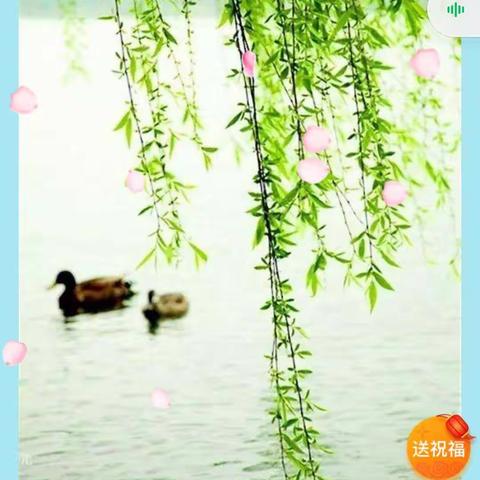 我的抗疫日记——教学记