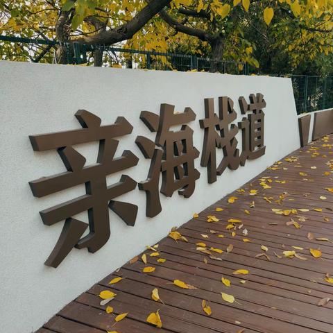 亲海栈道