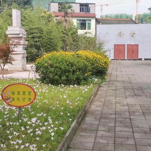 恰好年少  不负韶华