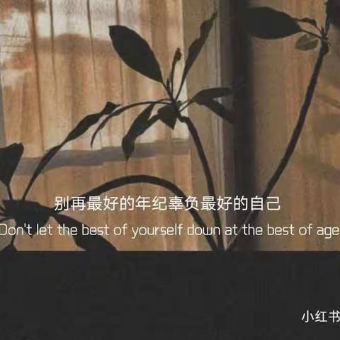 《立足专业 争当园丁》