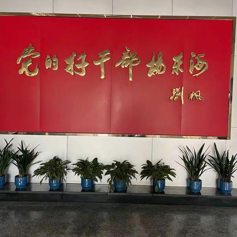 红领巾永远心向党