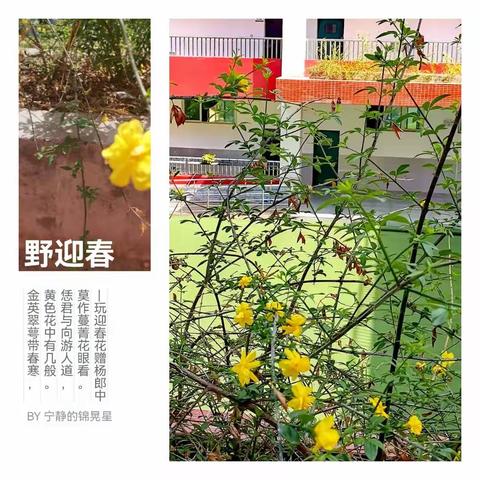 草树知春不久归