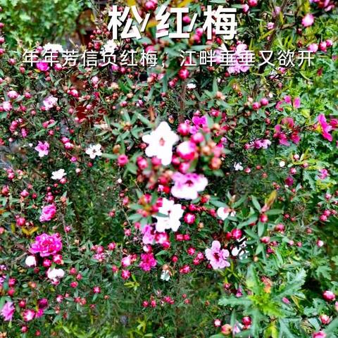 30万千米/秒的美篇