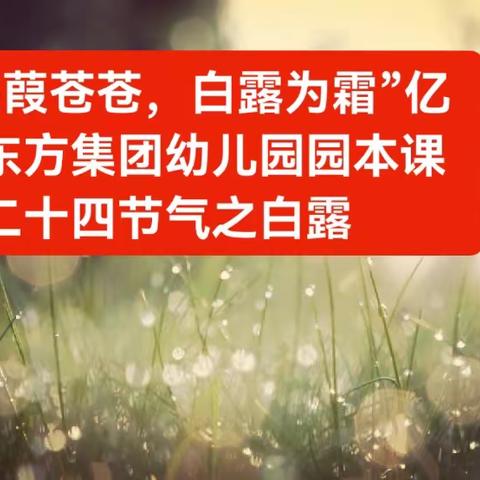 “蒹葭苍苍，白露为霜”亿利东方集团幼儿园园本课程二十四节气之白露