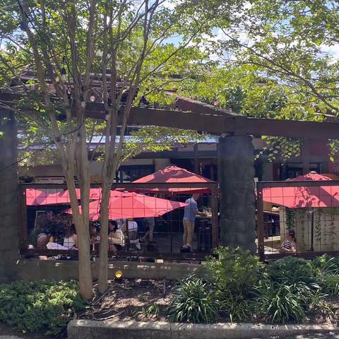 不发达的北卡罗来那