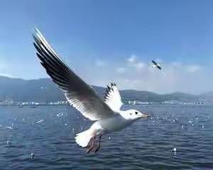 梦想兴趣班暑期班开课啦，我们在这里，等你们来撩！