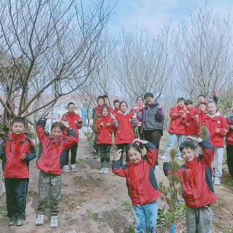 我和小树一起成长