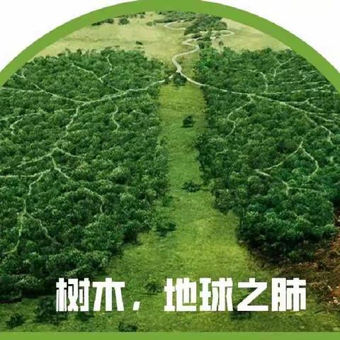 护生态、植新绿——县油区工作协调服务中心开展义务植树活动