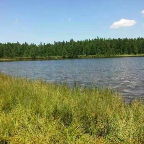 鄞州――和龙两地社会帮扶协作活动之名校长讲座活动纪实