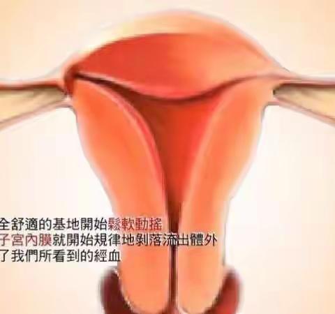 女人月经形成的全过程？女人你一定要清楚！！！